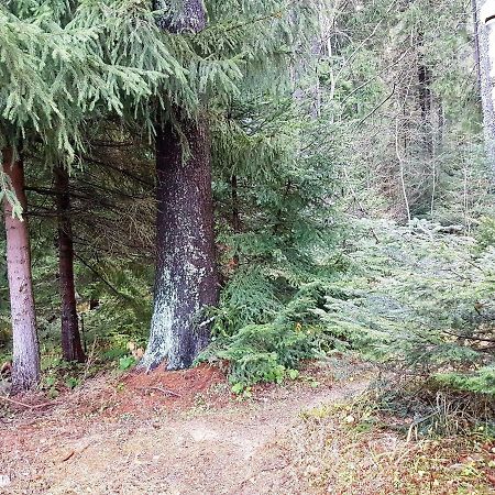 Chalet Taffski Borovets Eksteriør billede