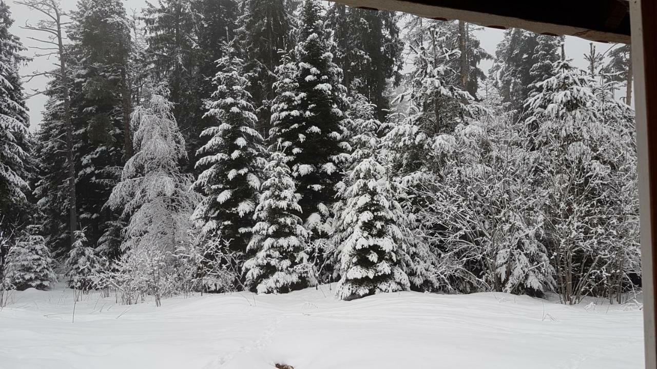 Chalet Taffski Borovets Eksteriør billede