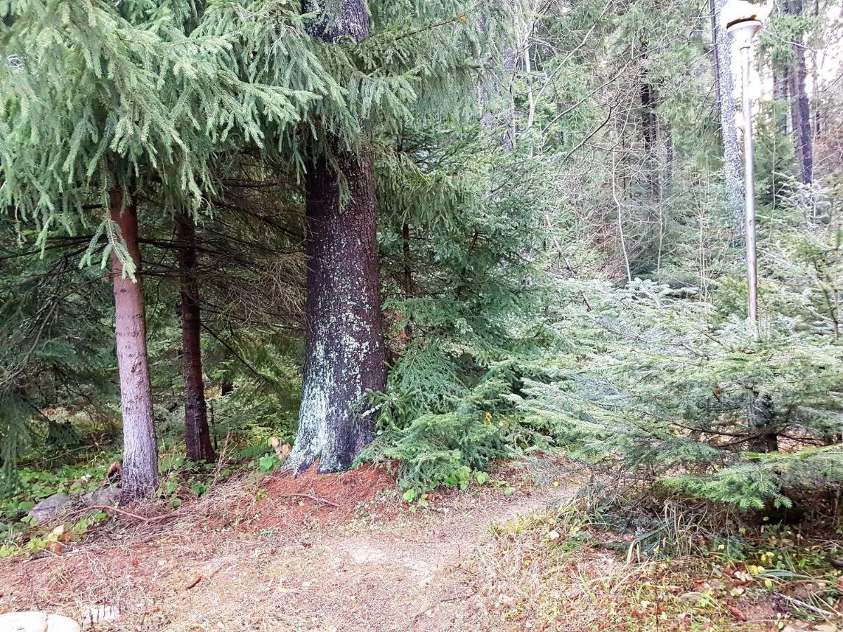 Chalet Taffski Borovets Eksteriør billede