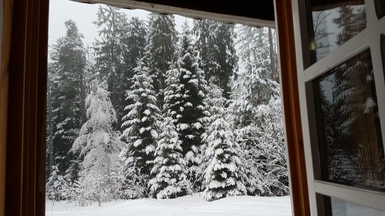 Chalet Taffski Borovets Eksteriør billede